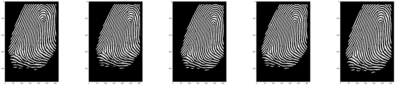 Top 8 fingerprint matches